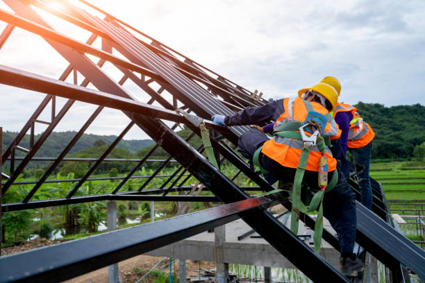 Best Roof Replacement Cost  in Paw Paw, MI