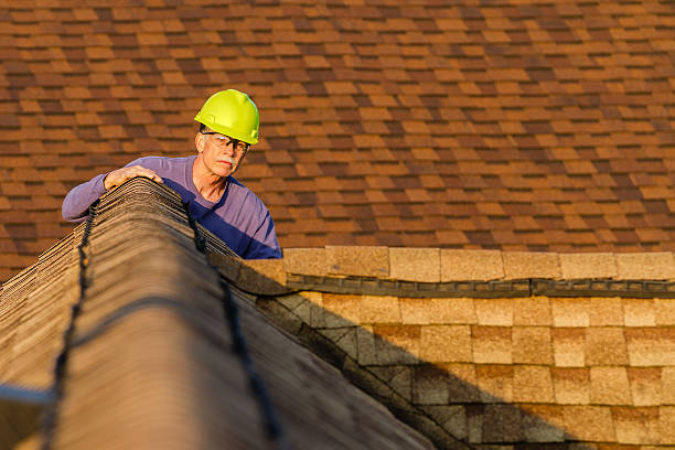 Best Local Roofing Companies  in Paw Paw, MI