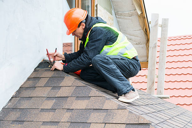 Best Roof Restoration Services  in Paw Paw, MI