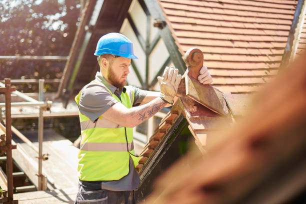 Best Roof Waterproofing Services  in Paw Paw, MI