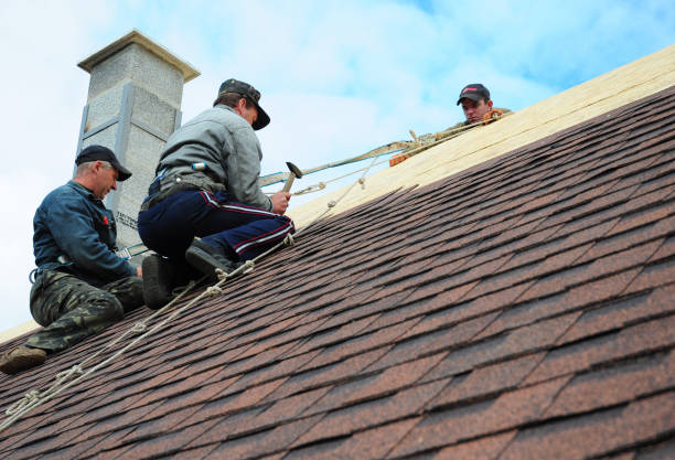 Best Best Roofing Contractors  in Paw Paw, MI