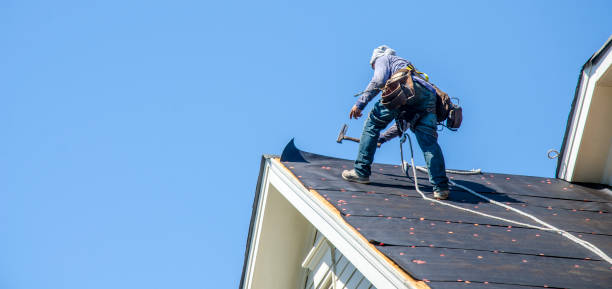 Best Roof Gutter Cleaning  in Paw Paw, MI